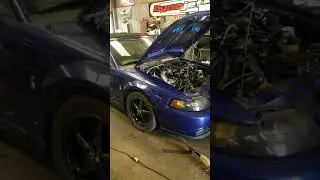 On3 turbo cobra