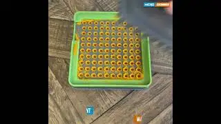 MICRO-DOSED  100 hole Capsule Filler