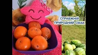 18.САД БЕЗ ХІМІЇ: секрети мого названого батька