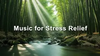 🌧️ TOP 50 Gentle Stream Sounds That Reduce Anxiety | Mozart Healing Music