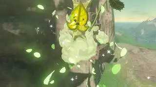 Korok seeds | North Ralis Pond | Lanayru Tower #35 | Zelda BOTW