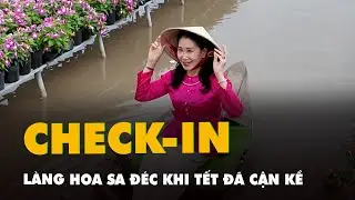 Du kh&aacute;ch rủ nhau check-in l&agrave;ng hoa Sa Đ&eacute;c khi Tết đ&atilde; cận kề