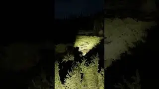 Never tempt the ArmA physics gods...