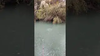 #fishing #nature #travel #рыбалка2024