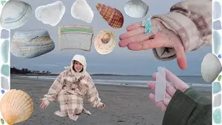 Beachcombing in the COLD | Sea Glass Hunting + Shelling Coastal New England | Beach Glass and Shells