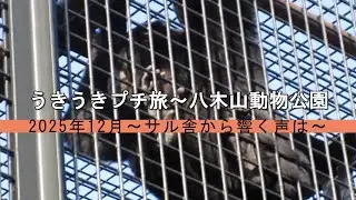 うきうきプチ旅～八木山動物公園　2025年12月～サル舎から響く声は～