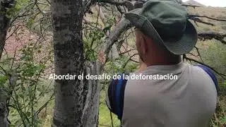 La deforestaci&oacute;n y sus efectos en el clima y la biodiversidad