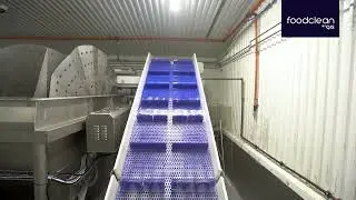 FoodClean by QJS | Automatic Cleaning and Disinfection System in a Fish Processing Factory