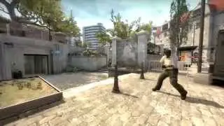Ace AWP Overpass
