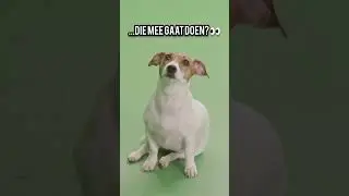 De countdown is begonnen.. De auditie komt eraan. Ben jij klaar?