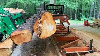 Пилим Кипарис на Американской Ленточной Пилораме Wood-Mizer LX55 | Bidun Vlog | Greenville, SC