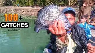 Unbelievable Fishing In Damb Mangrove  | Somiani Damb | fishing in Karachi 2026