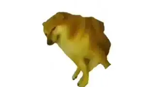 El perro de los memes cheems