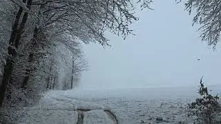 Тихая зимняя атмосфера | Короткометражный кинематографический фильм [4K]❄️
