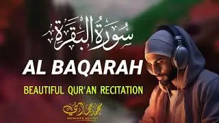 Surah Al-Baqarah (سورة البقرة) | Beautiful Quran Recitation for Peace, Protection & Blessings |