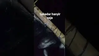 lapak gacor Pangaisan Batujajar