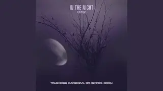 In The Night