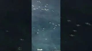 Sea creatures on camera Dead thousands of them #scary #creature #weird #love