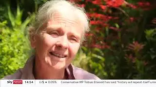 British journalist missing in Brazil