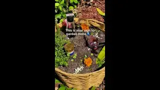 Sustainable Tequila for Earth Day 🌱