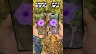 Samsung Galaxy S24 Ultra vs Iphone 15 Plus Portrait Test #s24ultra #apple #iphone15plus #shorts