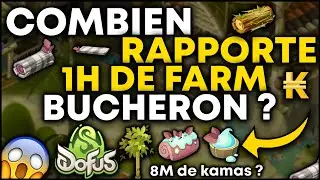 COMBIEN RAPPORTE 1 HEURE DE FARM BUCHERON SUR DOFUS 3 ?