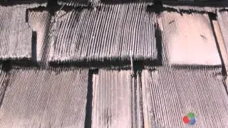 Home Inspection - Roofs