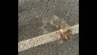 DUST EXPLOSION PART 2