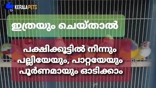 Tips to protect your bird cage from insects, cockroaches and lizards - Malayalam
