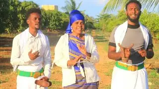 SHINIYEY  / HEES CUSUB BOQORTOYADII GELEDI OFFICIAL MUSIC VIDEO ONKOD BAY (2024)