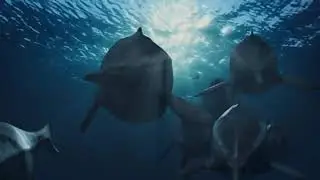 Sea Rex Journey to a Prehistoric World : Shonisaurus