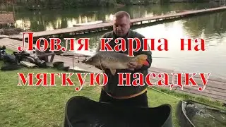 Ловля карпа на мягкую насадку. Тестирование оснасток. Озеро Михайлина.