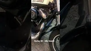 Harley Davidson Forty-Eight - Idle Sound/Muffler/SlipOns/Exhaust Note