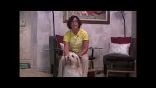 Dog Trainer in Miami Richard Heinz: owner review about Aggressive dog