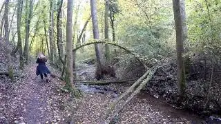 Wanderung der Hatzenporter Laysteig (Mosel)
