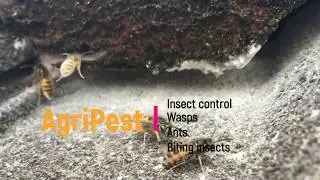 AgriPest Yorkshire