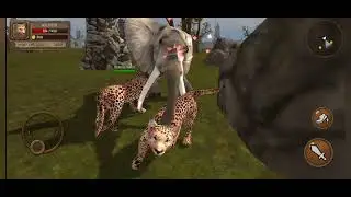 Angry Leopards V's Other Wild Animals in Ultimate Leopard Simulator / Compilation Video