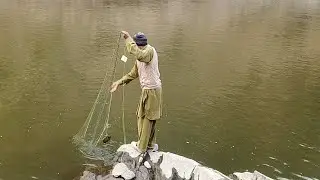 Bass Fishing Net Video | Thread Net Fishing in River | Fish Hunting with Funny Abdul Basit #fishing 
