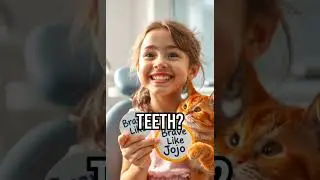 The Wish Jar of Hope ✨🐾 | Jojo & Pultu  #cat #viralvideo #trending #funny #shorts #facts #dogs 