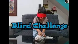 Elsa in a Blind Challenge | Elsa and Elna World