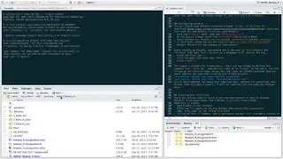 2 Starting with Git & RStudio