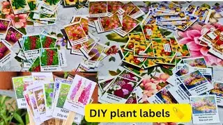 DIY  plant labels 🏷 | Photo printing and lamination done. Thanks to my little helper. &hearts;️
