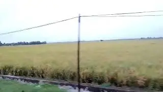 vlog during light rain #nature #explore #rain #vlog 