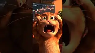 ⚠️ Bitcoin Dips Slightly&hellip; Cat Reacts Like It&rsquo;s 2008 Crash  #kitten #cattyrobo #funny