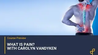 Acute vs. Persistent Pain & How to Treat Patients Living with Pain with Carolyn Vandyken