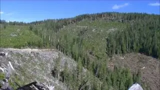 Teal Jones Group Heli Logging 2013