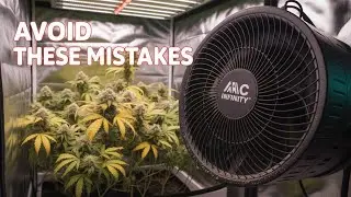 The AC Infinity Mistake That's Destroying Your VPD Right Now