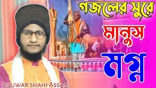 অসাধারণ মায়াবী সুরে গজল শরীফ Diluwar Shahi Assam Gania Madrasa