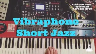 Vibraphone Short Jazz / Octatrack Nord Electro SDD-3000Pedal