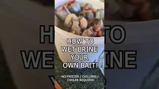 PRESERVE IT! HOW TO WET SALT BRINE YOUR OWN BAIT! #fishingtips #tips